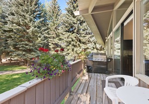 Aspen Alps Standard 2 bedroom condo - Wonderful Floor plan & walking distance in Aspen
