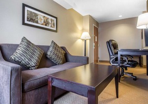 Comfort Inn & Suites Near Tinley Park Amphitheater in Tinley Park