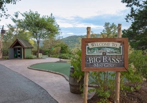 Wilderness Club™ at Big Cedar® - Ridgedale - Studio in Ridgedale