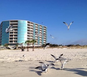 Sea Breeze Biloxi 
