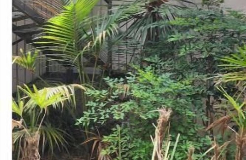 Montevideo Apartment | Beautiful duplex in Montevideo (pet friendly)
