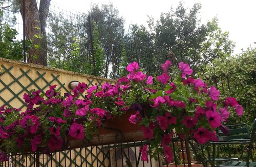 Gianicolense Apartment | Gianicolo a stone's throw from Trastevere and Vatican with terrace