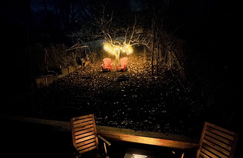 Harwood House | Modern Basement Studio + Access to Cozy Cabin