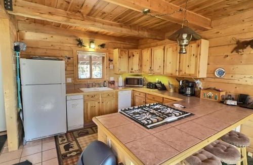 Leadville House | Mountain Log Home-Among Lodgepole Pines