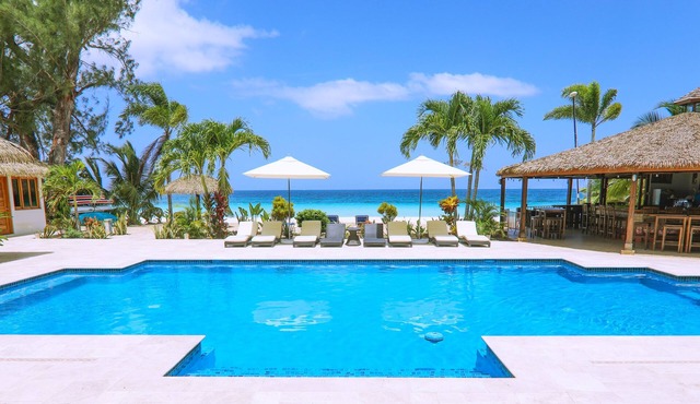 Beautiful Beachfront Villa With Private Pool and Bar Fully Staffed in Negril