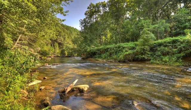 Blue Ridge Creekfront Hot Tub Fishing and Tubing in Blue Ridge