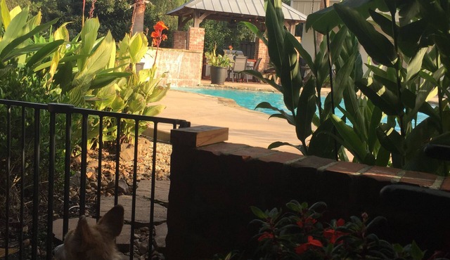 Cajun Getaway: "Home Away From Home" A little piece of paradise. Very relaxing. in Abbeville