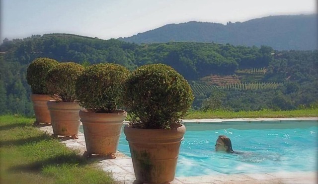 chaming little house with pool facing the most beautiful tuscan scenary in Lucca