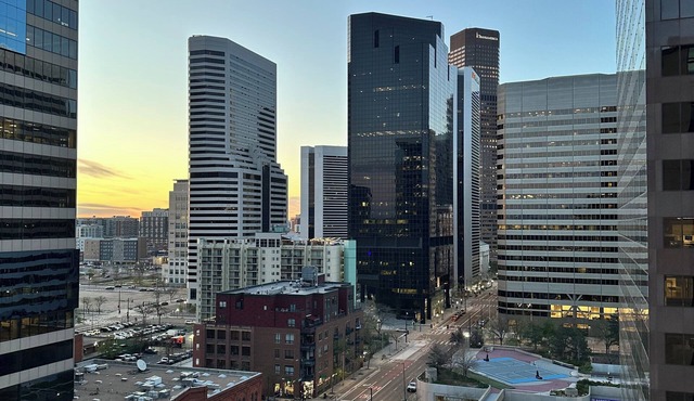 Charming elegant high-rise apartment in heart of Denver. in Denver