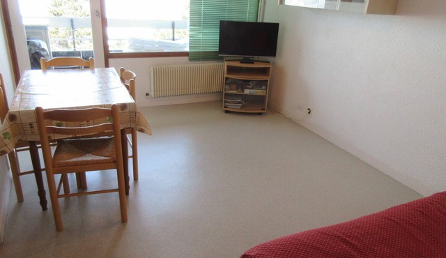 Comfortable studio for 4 near slopes, pets allowed in Chamrousse