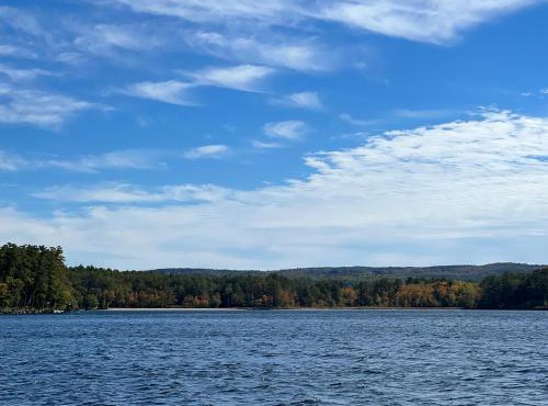 Cottage 7 - Stand Alone Queen Bed Child Loft w Twin Private Bath Kitchenette Pets Allowed Fee applies in Wolfeboro
