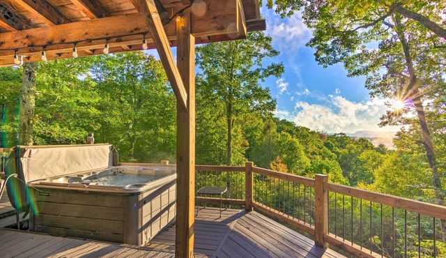Couples’ Treehouse Retreat w/Hot Tub & Views in Brevard