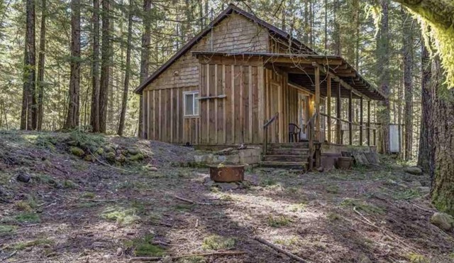 Cozy Cabin with views and quick access to Lake in Detroit
