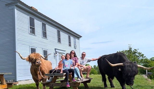 Farmhouse Apartment on a Highland Cattle Farm - A in Loudon