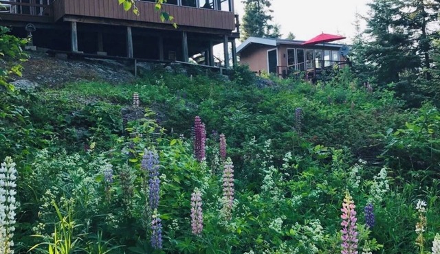 Gorgeous Lake of the Woods Cabin in District of Kenora