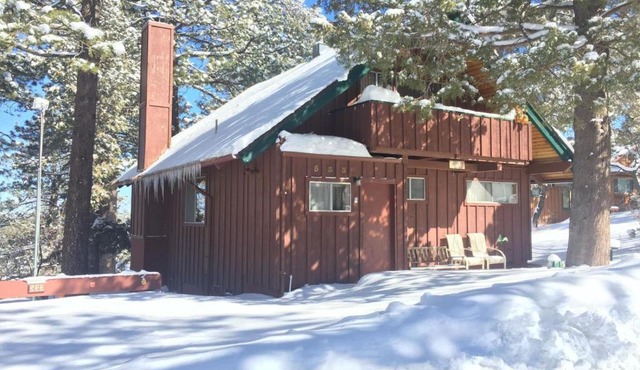 Kiwi Cabin in Big Bear Lake