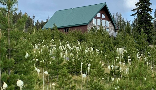 Large mountain home with stunning views of Georgetown Lake and Pintler Range in Anaconda