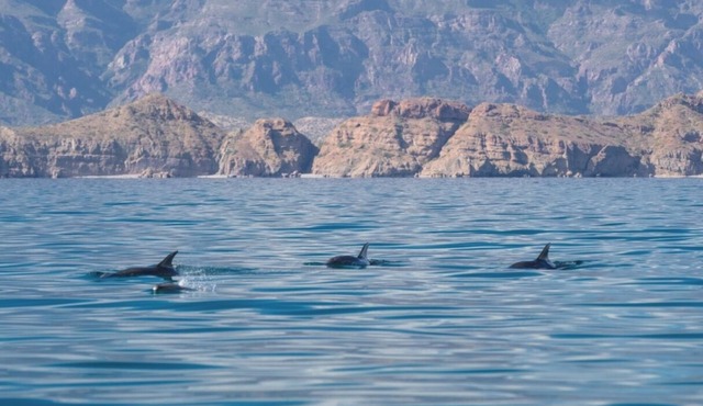 Luxurious Loreto Escape: Coastal Beauty Meets Ultimate Comfort in Loreto