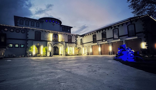 LUXURY/PALACE in Alvin