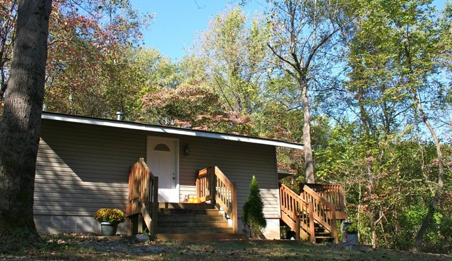 MoJo Valley Cottage in Cobden