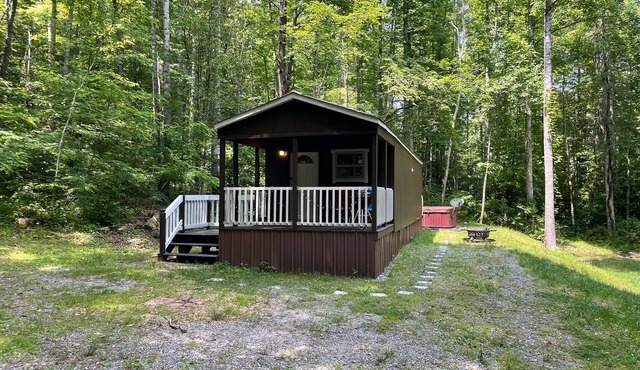 Mountain Creek Getaway-Covered Porch - Fire Pit - Charcoal Grill in Bryson City