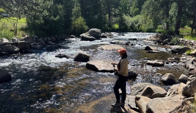 NEW~Trail Ridge Retreat- A/C, RMNP- 2 miles, Family Friendly, Views! in Estes Park