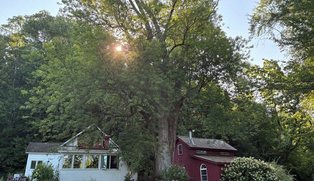 Remote romantic Vermont hideaway.Long term rentals preferred. in Benson