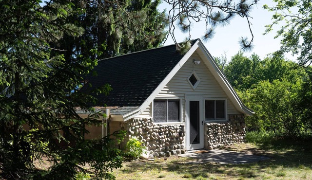 Secluded hideaway in the woods! Renovated, well appointed 1928 cottage in Alanson