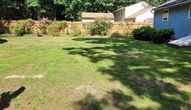 Serene 3-bedroom cottage with AC in charming West Suffield in Suffield