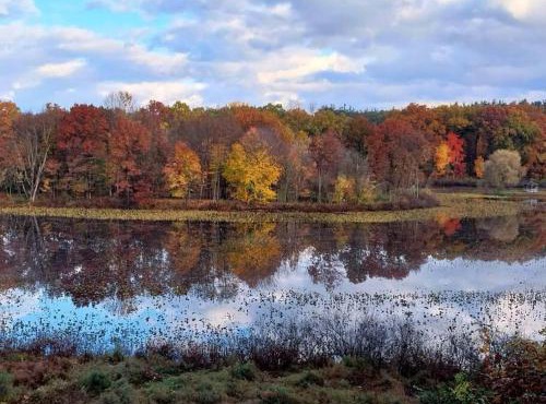 Smitten in da Mitten - 18 acres, Arcades, High Spd Web, Hot Tub, Pond! in Berrien Springs