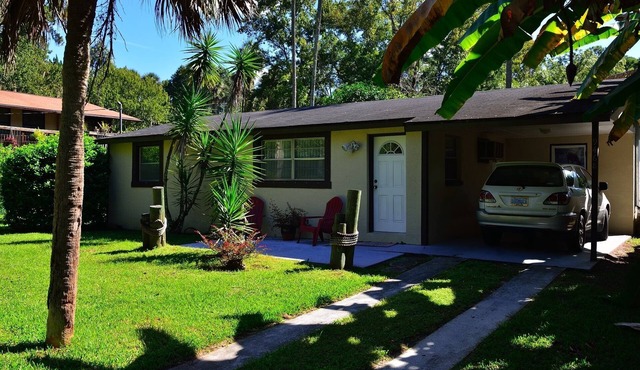 Snorkel with the Manatees in Your Back Yard - Kayaks Included in Homosassa