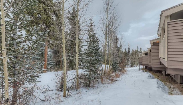Stunning Views from the Top of Boreas Pass in Breckenridge