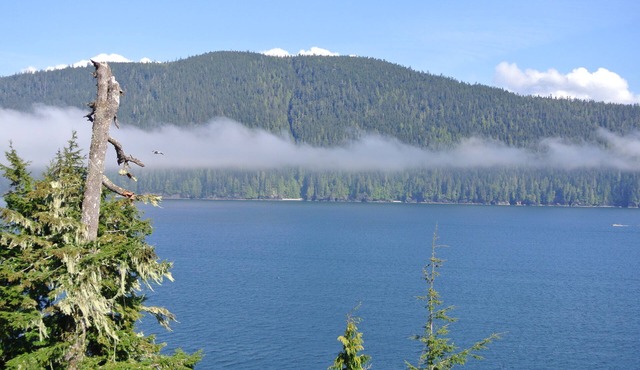 Super Wild ~ Super Natural ~ Super Renfrew in Port Renfrew