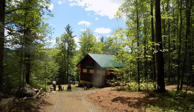 Sweet New Cabin With Amazing Views Of The Hudson River in North River