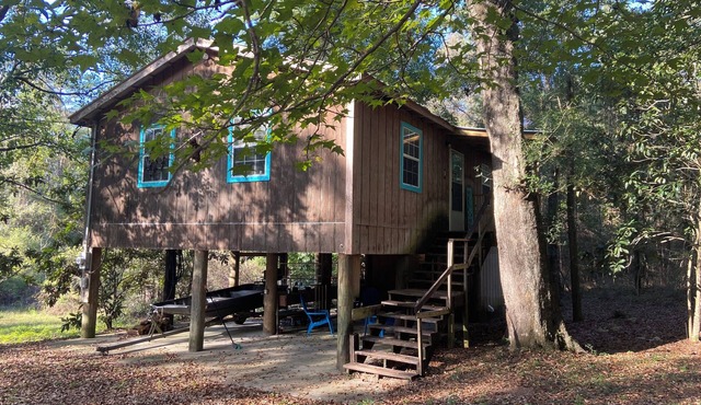 Take it easy at this unique and tranquil getaway! in Carriere