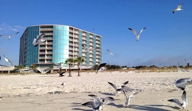 Top 10th Floor! Panoramic Views! On Beach! Fitness Center! Cabana Optional! in Biloxi