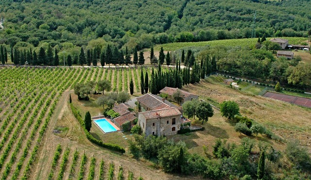 Traumblick in die Toskana vom Ferienhaus mit Pool auf Hügel zw. Siena u. Florenz in Castelnuovo Berardenga