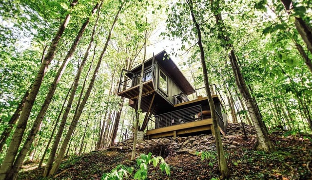 Treehouse Private Acerage in Charlevoix