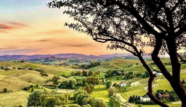 Villa Corleone in Piemonte