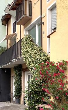 Villa Jasmine in Bolzano
