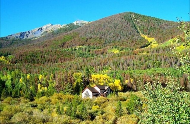Mountain Side 