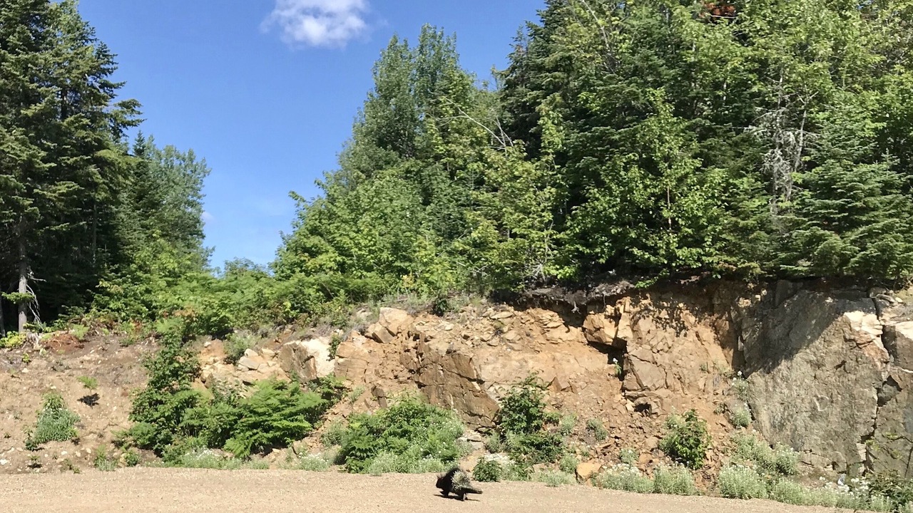 Photo of Outdoor in Petite-Riviere-Saint-Francois