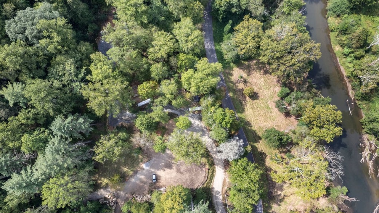 Photo of Others in Pisgah Forest