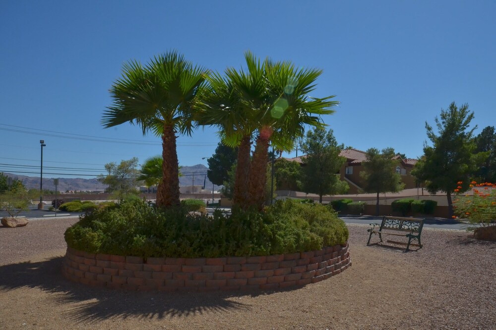 Photo of Outdoor in Sunrise Manor