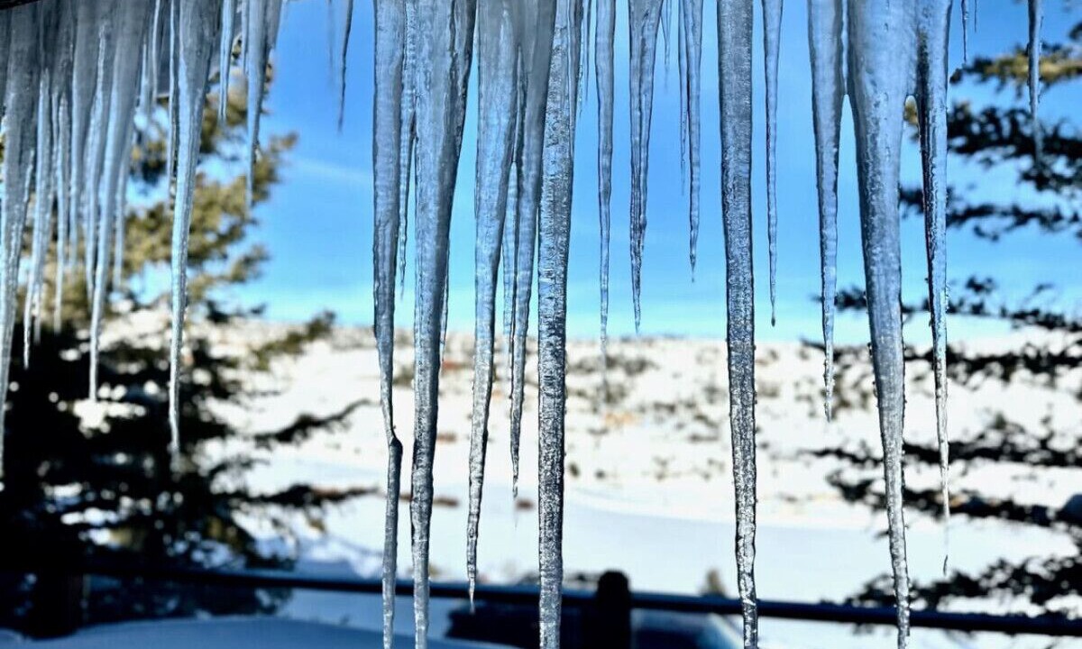 Photo of Outdoor in Mammoth Creek