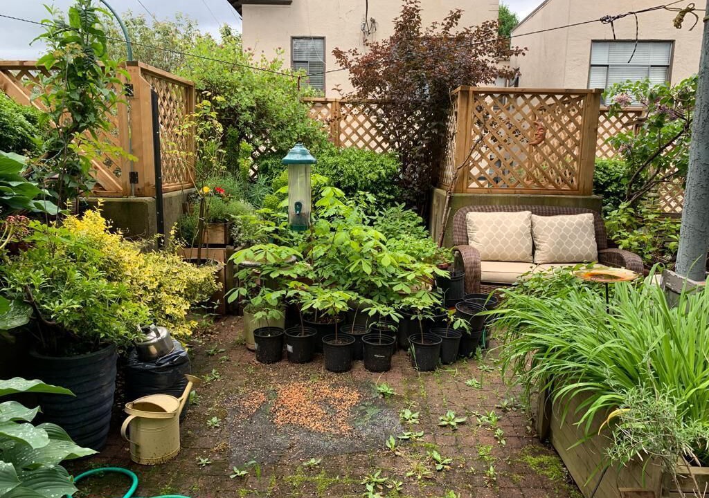 Photo of Outdoor in Kitsilano