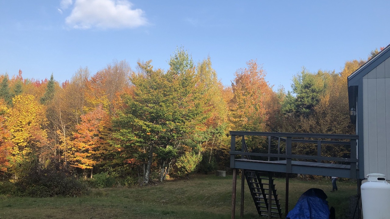 Photo of Outdoor in Errol