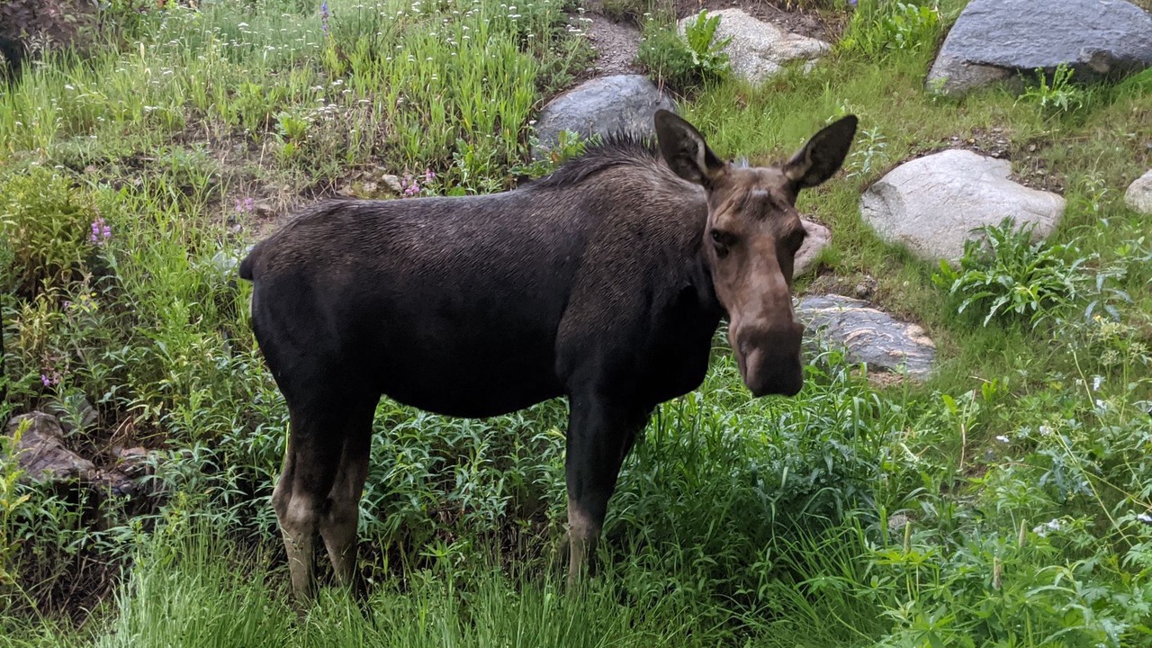 Photo of Outdoor in Baldy Mountain