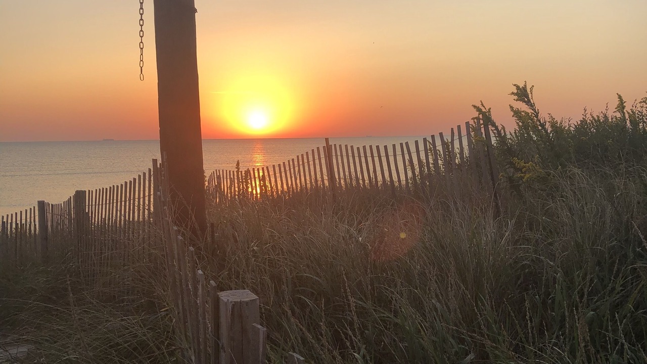 Photo of Others in Prime Hook Beach