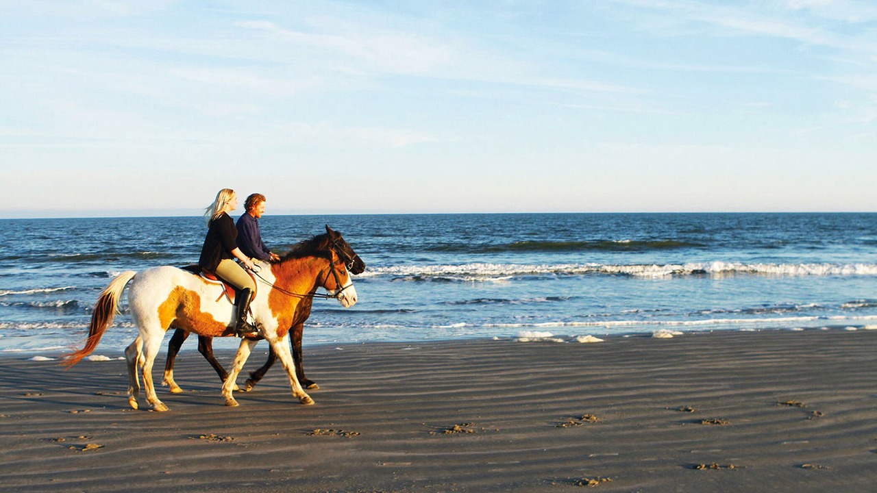 Photo of Others in Seabrook Island